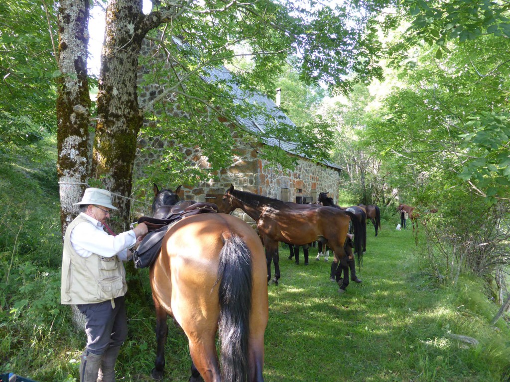 gite du puy mary-cantal-balade equitation (4)