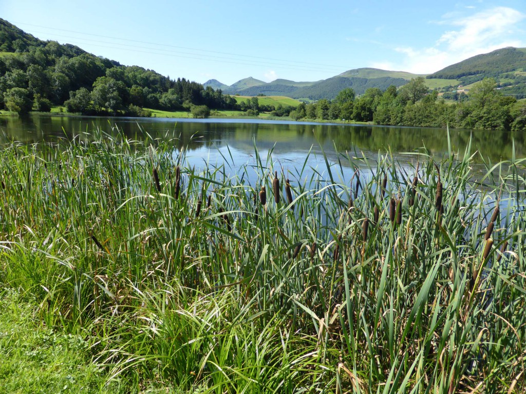 gite du puy mary-cantal-paysages (12)