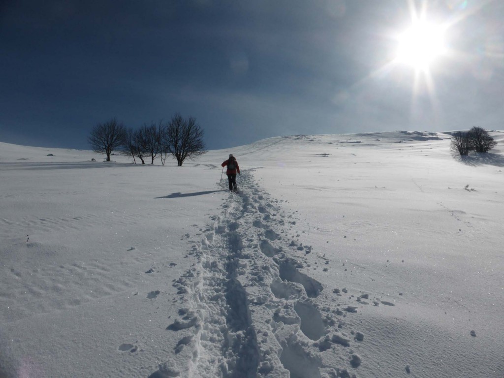 gite du puy mary-cantal-paysages (22)