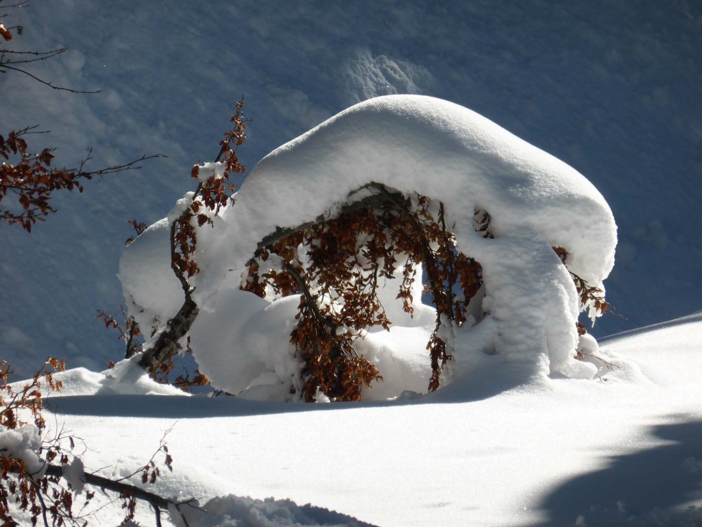 gite du puy mary-cantal-paysages (25)