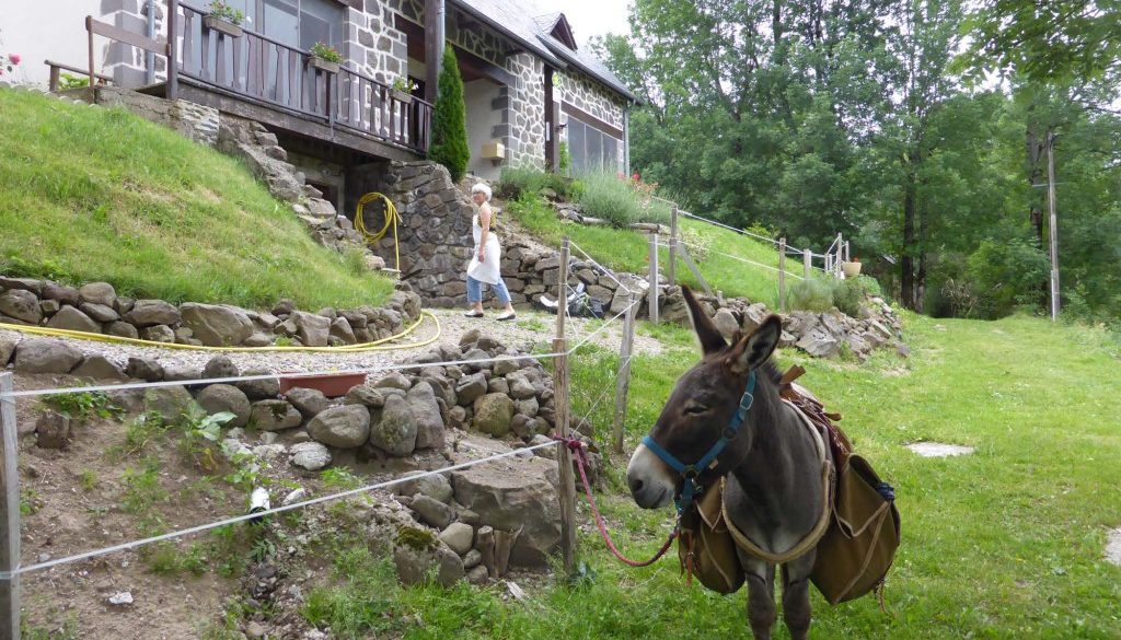 gite du puy mary-cantal-balade equitation (1)