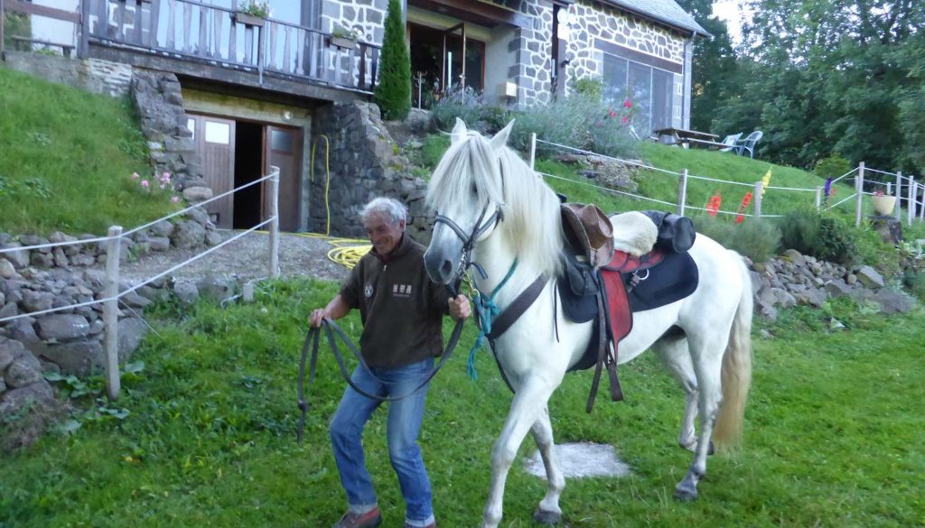 gite du puy mary-cantal-balade equitation (2)