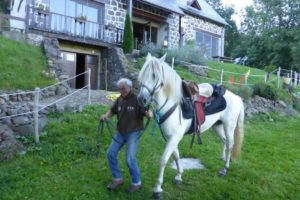 gite du puy mary-cantal-balade equitation (2)