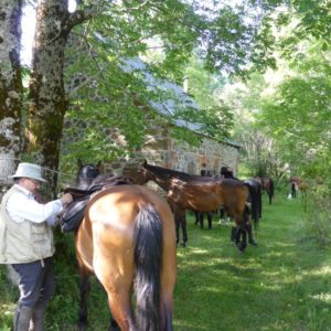 gite du puy mary-cantal-balade equitation (4)
