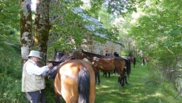 gite du puy mary-cantal-balade equitation (4)