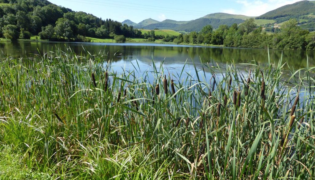 gite du puy mary-cantal-paysages (12)