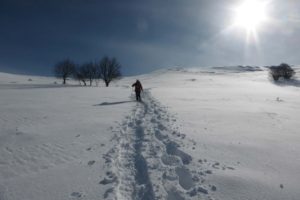 gite du puy mary-cantal-paysages (22)