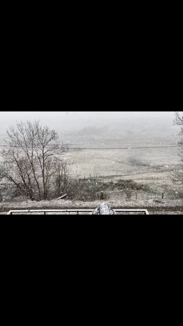 Neige de printemps sur les monts du Cantal ! ❄️ De gros flocons recouvrent le paysage, offrant un dernier souffle hivernal en altitude. ⛰️ #Cantal #Neige #Printemps #montducantal #gr400 #gtva #gr4 #leclaux #leclauxpuymary #puymary #gitecantal #cantaldestination #destinationhautcantal #cantalauvergne